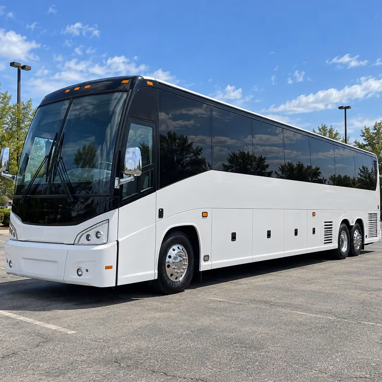 56 passenger charter bus